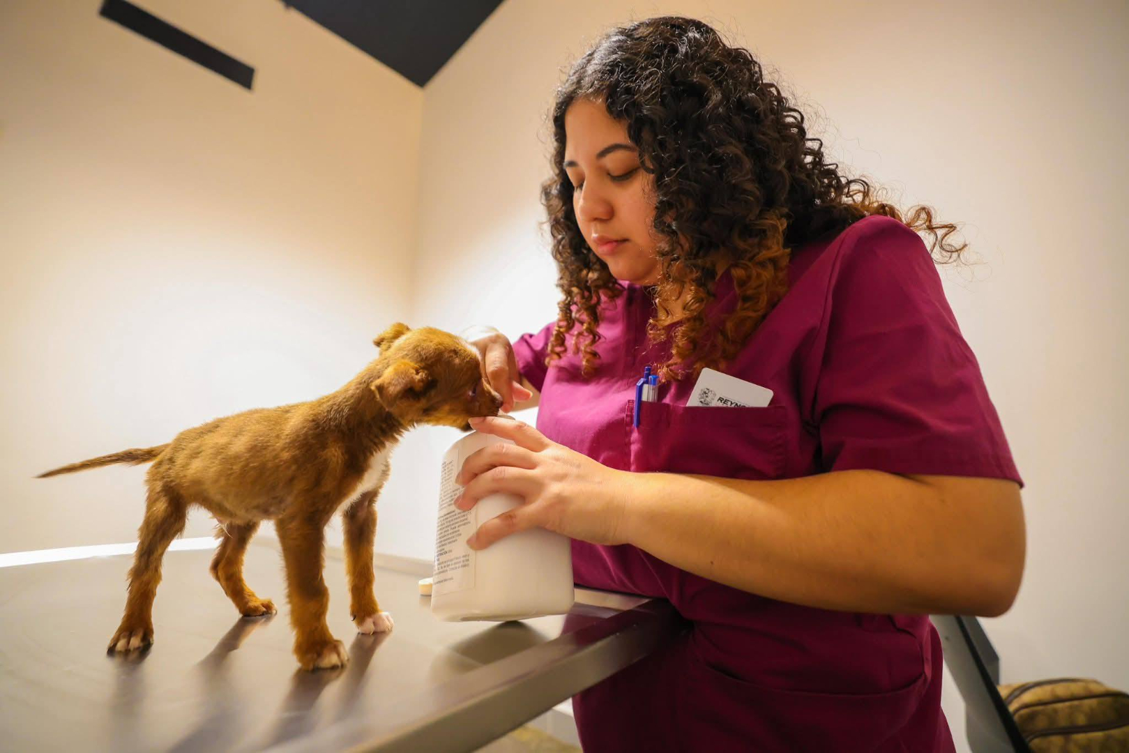 Ofrece Carlos Peña Ortiz atención del Hospital Veterinario Municipal
