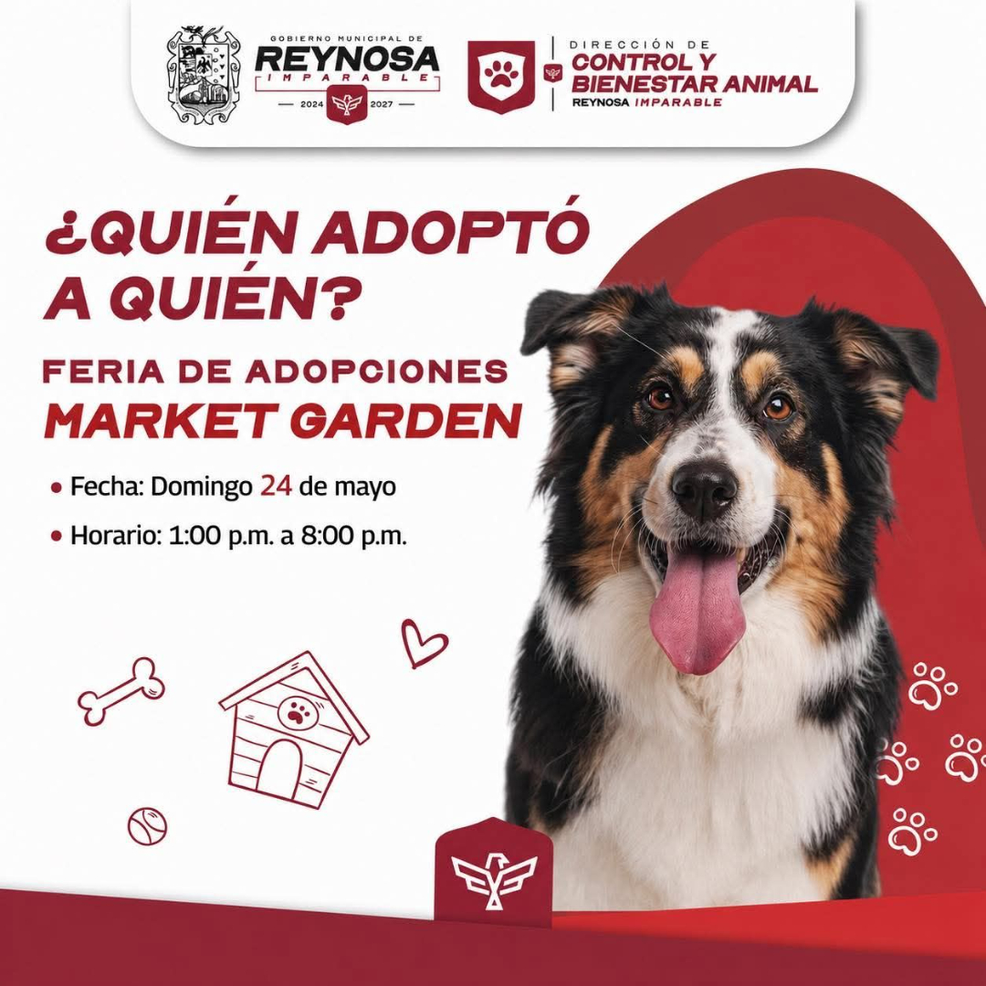 Invita el Presidente Carlos Peña Ortiz a la Feria de Adopciones hoy domingo 24 de mayo
