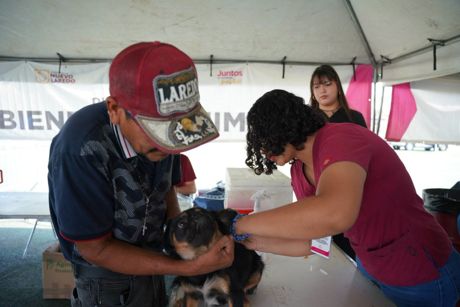 REFUERZA BIENESTAR ANIMAL LABORES DE ATENCIÓN PARA REDUCIR RIESGO DE ENFERMEDADES EN MASCOTAS