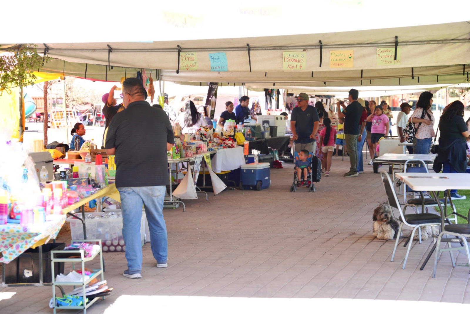 INVITA GOBIERNO MUNICIPAL E IMJUVE A BAZAR JOVEN EN EL PARQUE VIVEROS