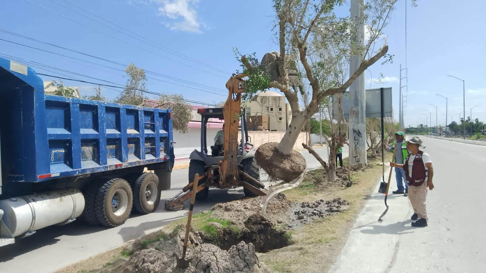 Atiende Gobierno de Reynosa limpieza, alumbrado, bacheo y suministro de agua en ejidos