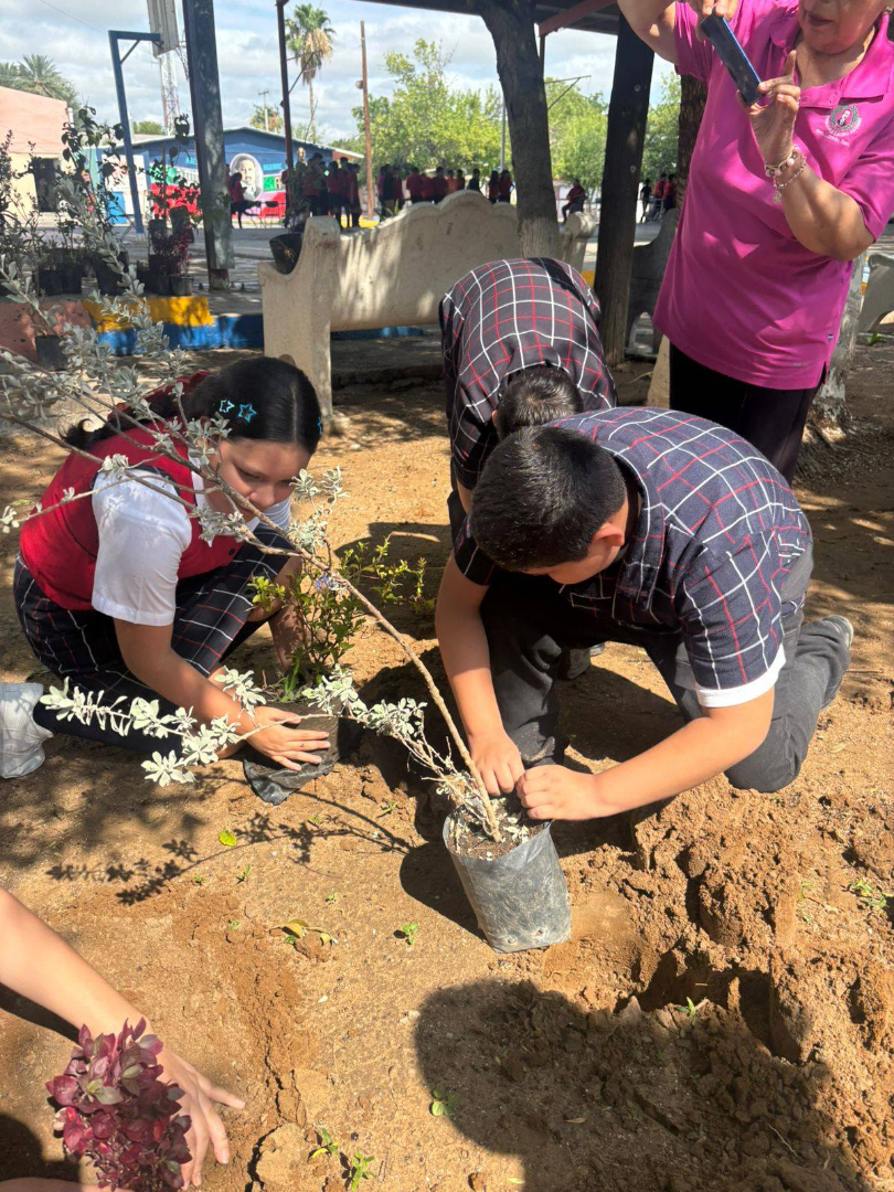 IMPULSAN FORESTACIÓN Y CUIDADO DEL MEDIO AMBIENTE EN ESCUELA LAURO AGUIRRE