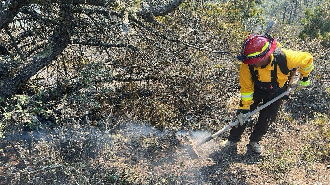 Refuerza Gobierno de Tamaulipas acciones coordinadas para el control de incendio forestal en Miquihuana