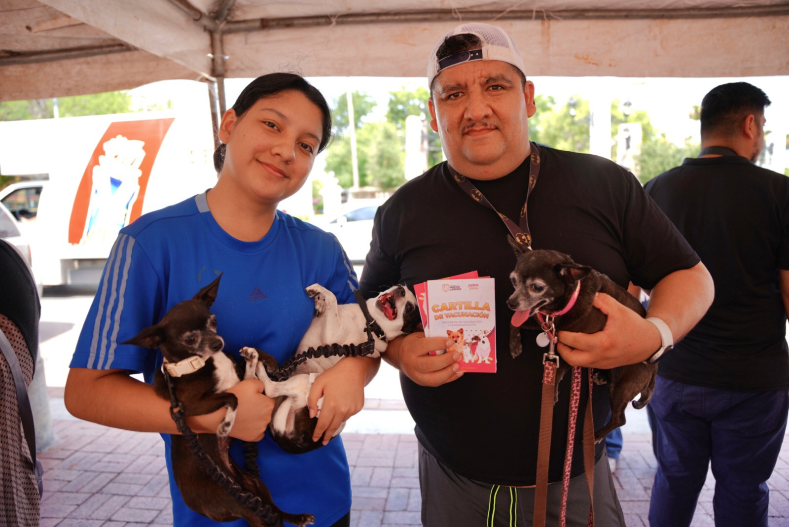 GOBIERNO MUNICIPAL INVITA A JORNADA GRATUITA DE VACUNACIÓN ANTIRRÁBICA PARA PERROS Y GATOS