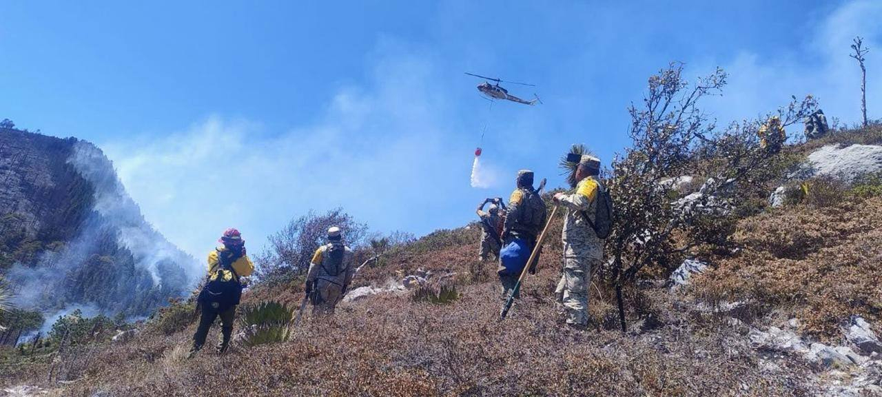 Controlado incendio forestal “Puerto del Volcán” en Miquihuana