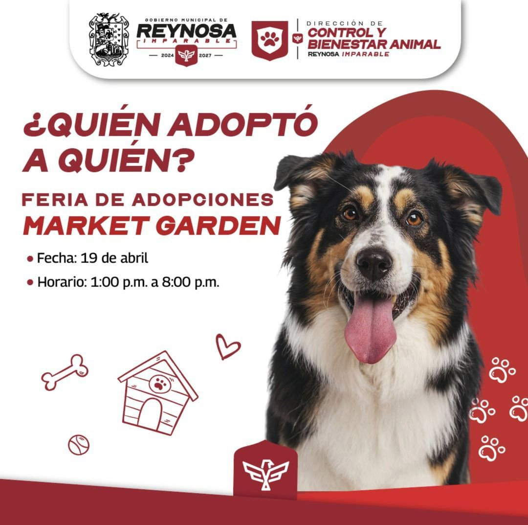 Feria de Adopciones brinda segunda oportunidad a mascotas que buscan hogar