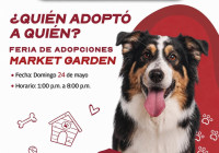 Invita el Presidente Carlos Peña Ortiz a la Feria de Adopciones hoy domingo 24 de mayo